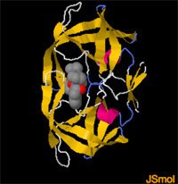 crixivan bound to enzyme