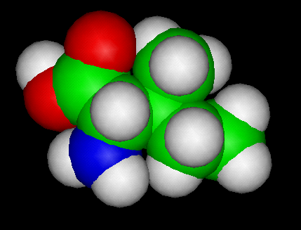 Amino Acids Section